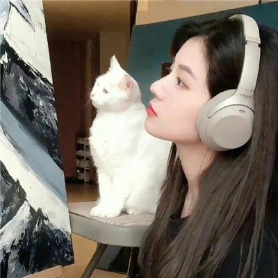 佩吉巷的火枪手